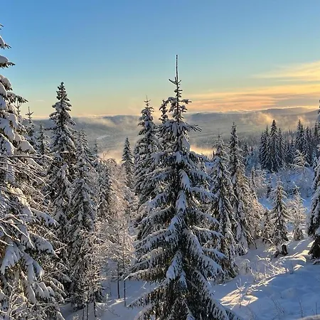 Σαλέ De Luxe 518 *